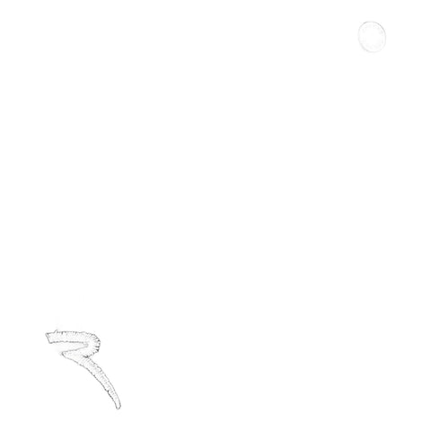 Starlocia Hose Damen