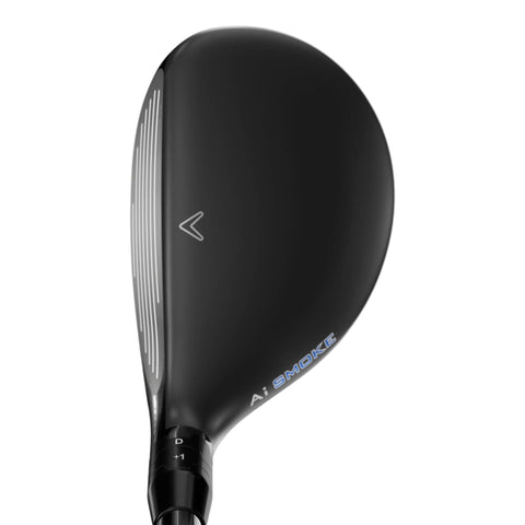 Paradym Ai Smoke (2024) Hybrid Herren