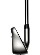 DS Adapt Max Eisensatz Herren