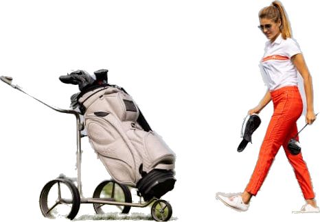 Style Cartbag