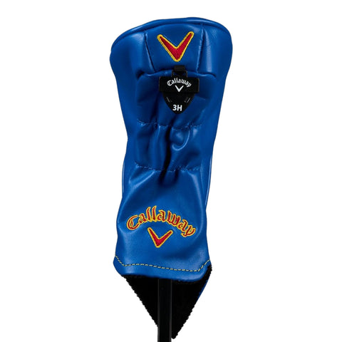 Major PGA Championchip 2022 Hybrid