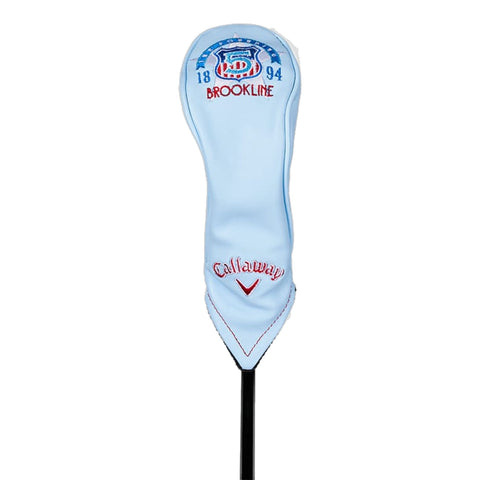 Major US Open 2022 Hybrid