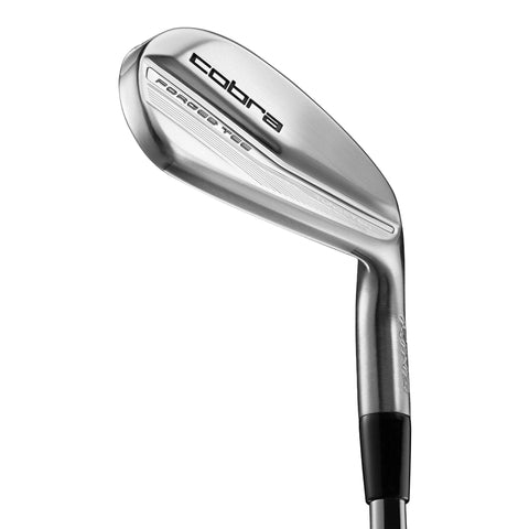KING FORGED TEC (22) Silver HE RH 4-PW S ST Herren