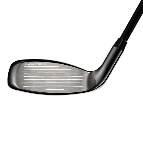 Big Bertha B21 Hybrid