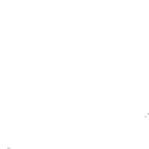 Chev Printed 1/2 Sleeves Shirt Damen