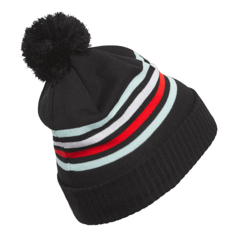 Pom Beanie