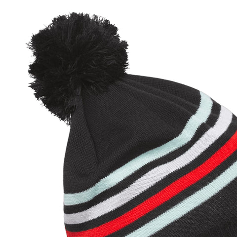 Pom Beanie
