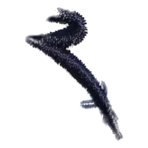 Addisabeba Polo Damen