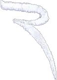 Soda Golfhose Damen