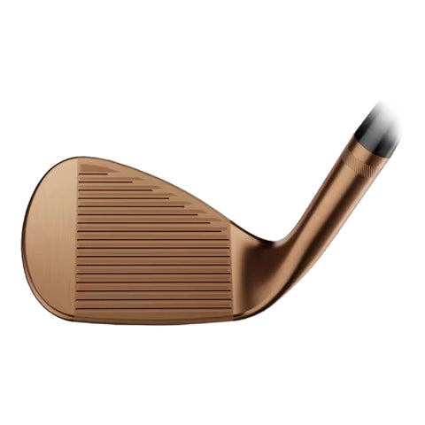 SM10 Wedge