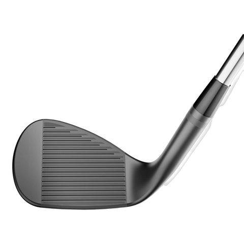 SM10 Ni Wedge