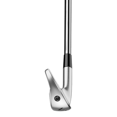 P790 (2025) Eisensatz Herren